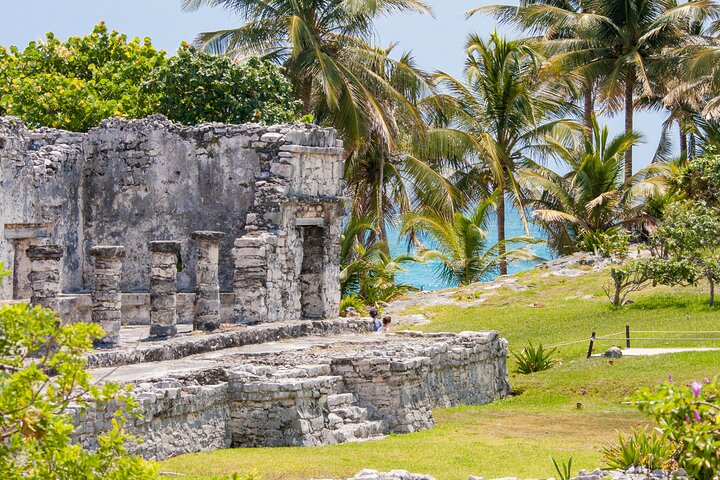 Discover Tulum, dos ojos, "Madre naturaleza" and Grand cenote