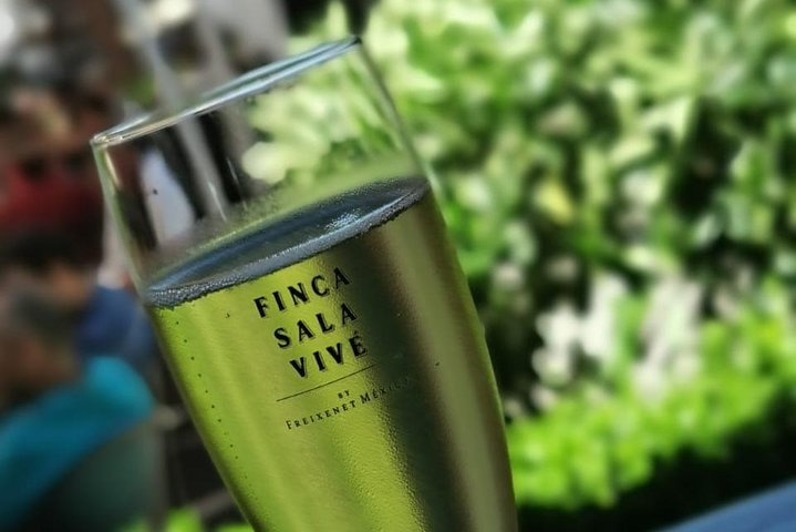 Magical Nature - Photo 1 of 2