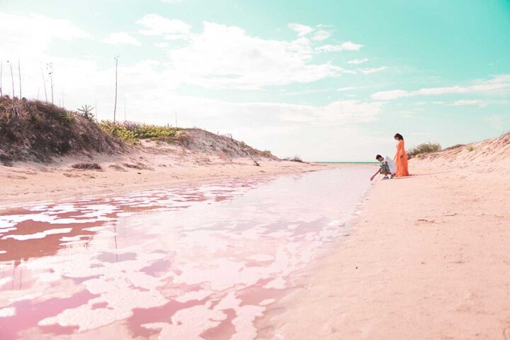 Magical Tour Las Coloradas Natural Pink Lagoon from Riviera Maya - Photo 1 of 24