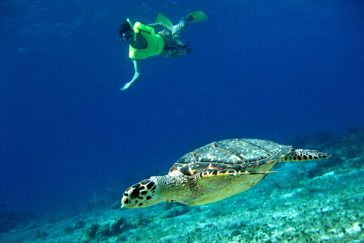 Unforgettable Beauty of the Underwater Reefs