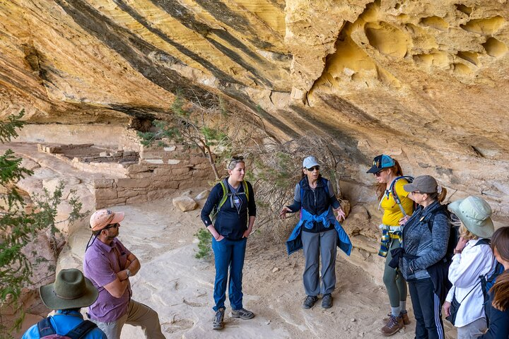 Mesa Verde Express Tour With Tickets To Cliff Palace - Photo 1 of 6