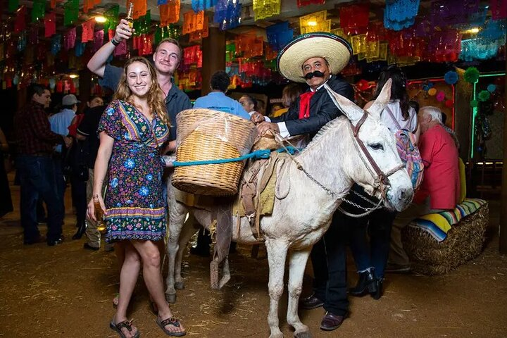 Camel Ride in Los Cabos with Buffet Food and Beer - Photo 1 of 12