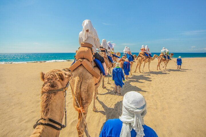 Camel Ride in Los Cabos with Buffet Food and Beer - Photo 1 of 14