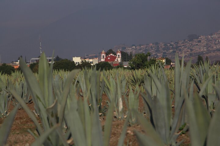 Mezcal Culture Cycling Tour in a Zapotec Village - Photo 1 of 8