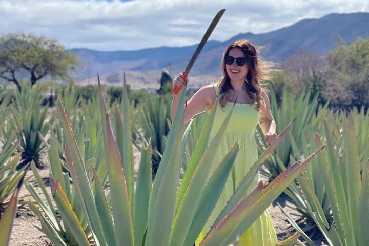 Oaxaca Countryside: Agave Fields & Mezcal - Photo 1 of 25