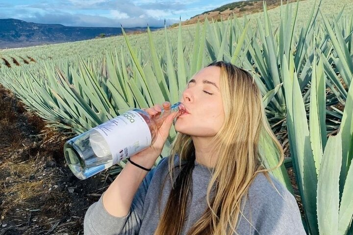 Oaxaca Countryside: Agave Fields & Mezcal - Photo 1 of 25