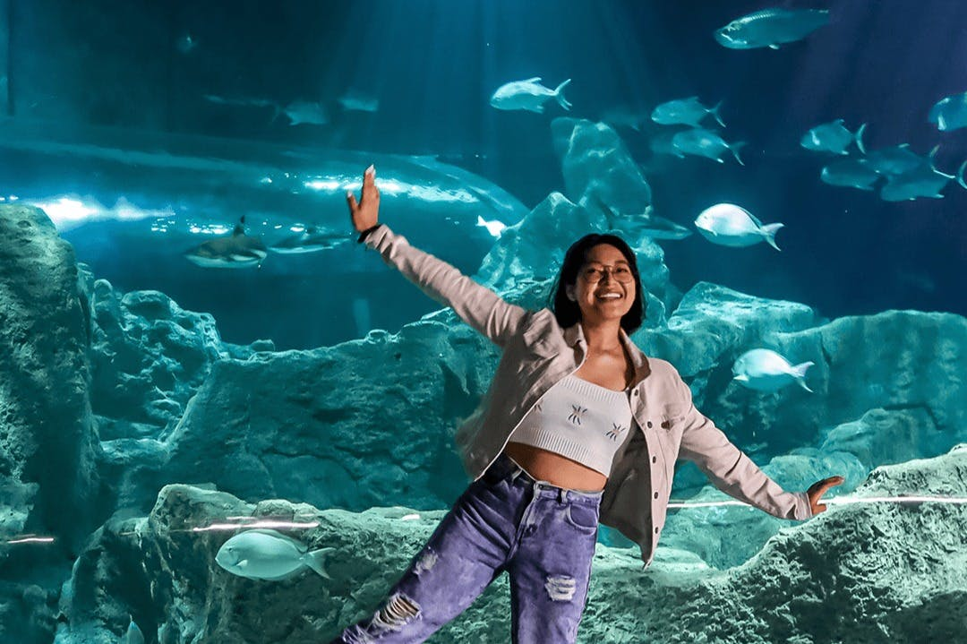 Michin Aquarium Guadalajara Tickets - Photo 1 of 21