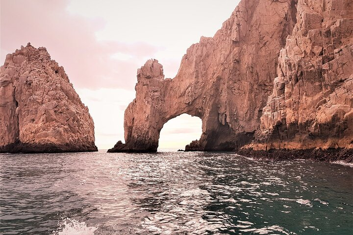 Morning Glory - Photo 1 of 10