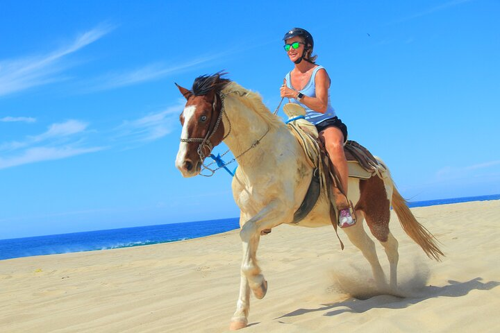 Cabo Shore Excursion: Beach Horseback Ride & Tequila Tasting - Photo 1 of 24