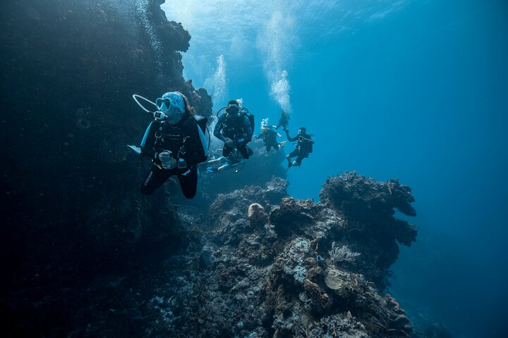 Night Diving Experience in Cozumel - Photo 1 of 5