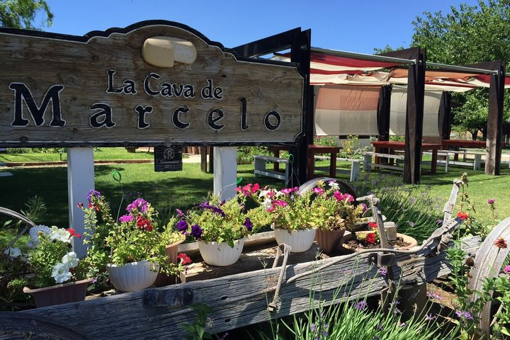 Ojos Negros Valley Wine and Cheese Route Tour in Baja California - Photo 1 of 25