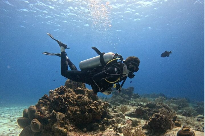 Open Water Diver Course - Photo 1 of 6