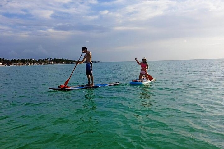 Paddle Board Classes in Holbox with Pick up - Photo 1 of 11