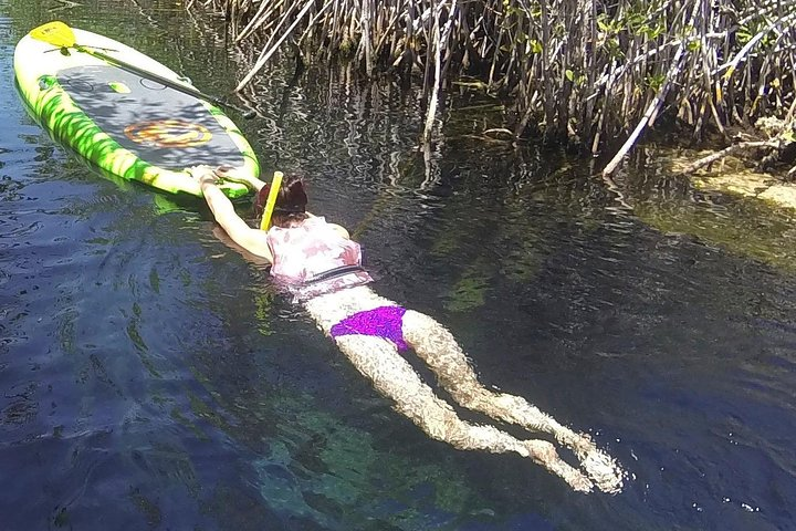 Paddleboard Cenote Tour  - Photo 1 of 8