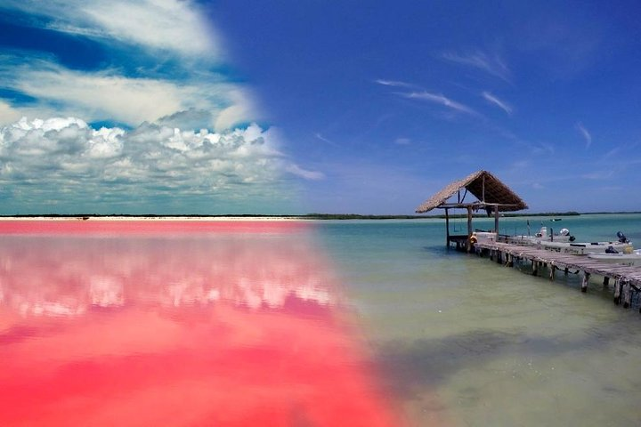 Pink Lake & Rio Lagarto! from Cancún [sin guía] - Photo 1 of 8