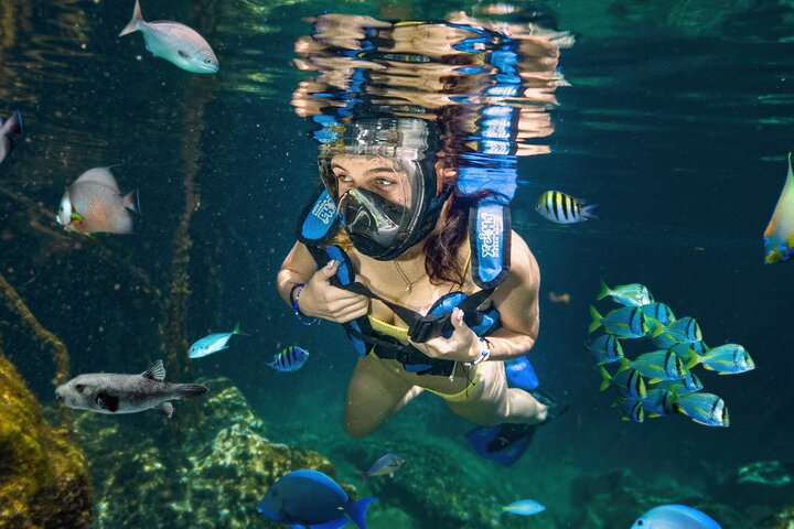 Xel-Ha Tickets with Transportation included - Photo 1 of 18