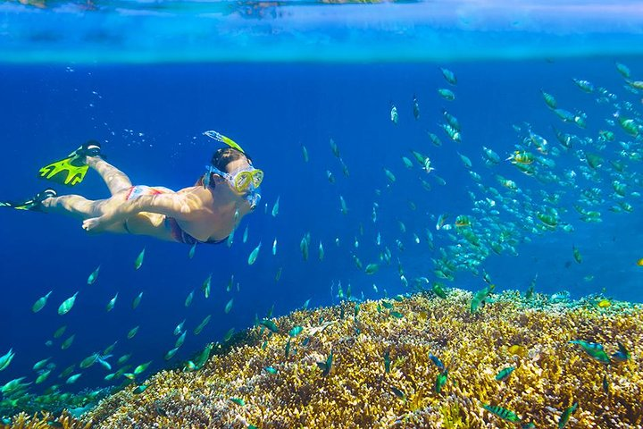 Private 3-Hour Snorkeling Tour with Arch Tour and Beach Time - Photo 1 of 11