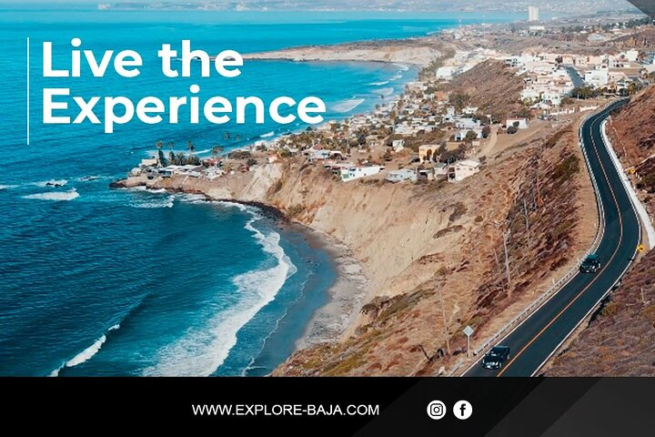 PRIVATE BAJA WINERIES EXPERIENCE (Transportation,concierge,custom schedule) - Photo 1 of 12