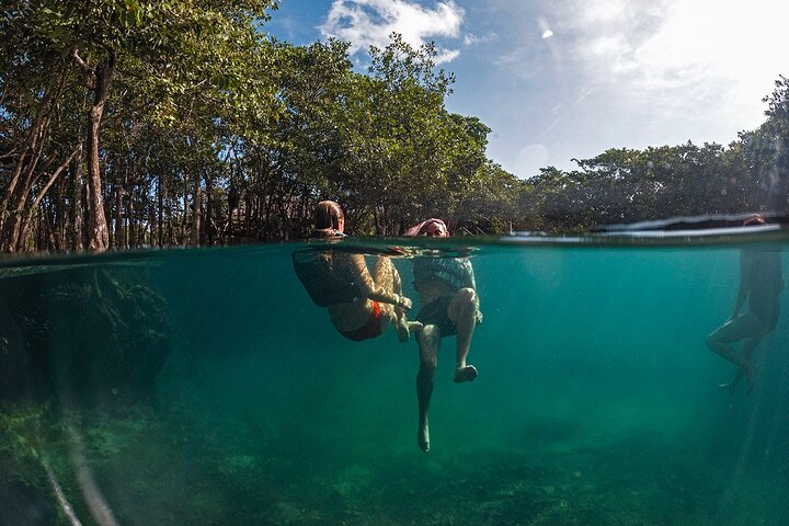 Holbox: 3 Island Private Boat Tour - Photo 1 of 16