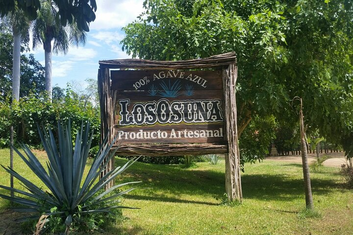 La Noria Village and Los Osuna Tequila Experience. - Photo 1 of 9