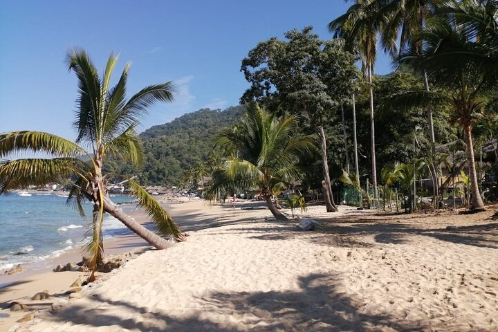 A Little Bit of Everything  - Photo 1 of 7