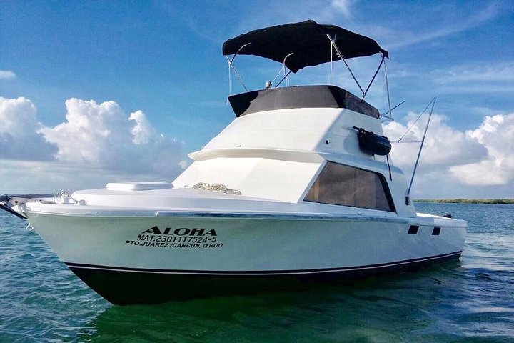 Private fishing charter Bertram 31ft 6 pax max if you don't fish you don't pay - Photo 1 of 25