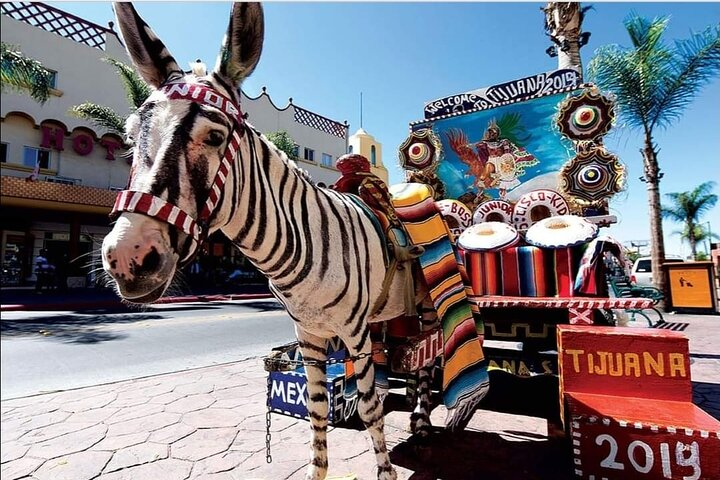 Private Full-Day Guided Tour of Tijuana - Photo 1 of 16