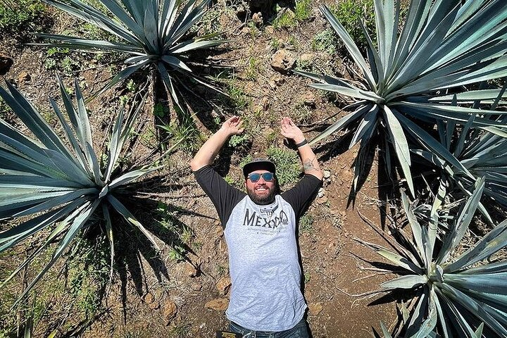 Private One Day Adventure Tour in Tequila and La Fortaleza Distillery - Photo 1 of 11