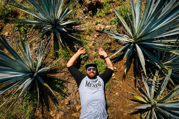 Private One Day Adventure Tour in Tequila and La Fortaleza Distillery - Photo 1 of 19