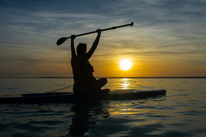 Private Paddle Tour at Sunrise - Photo 1 of 14