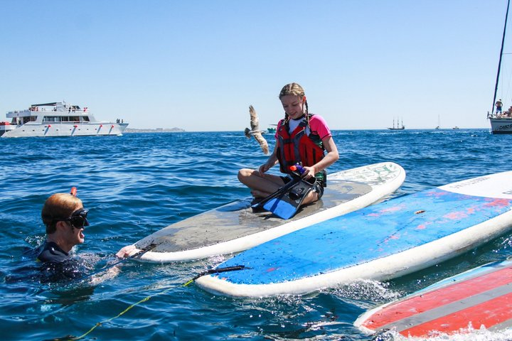Private Cabo Paddle Board & Snorkel Adventure to the Arch - Photo 1 of 12