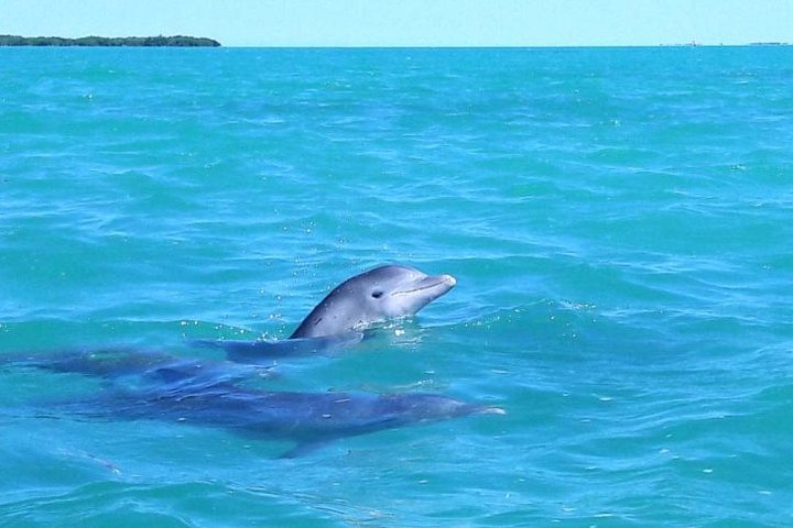 Private Sian Kaan Biosphere Tour - Photo 1 of 6