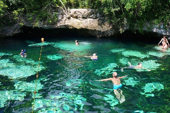 Private Snorkel Adventure! Akumal Reef + Cenote Swim - Photo 1 of 12