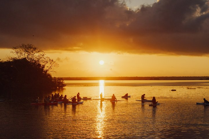 Private SUP Tour (Stand Up Paddleboard) - Photo 1 of 9