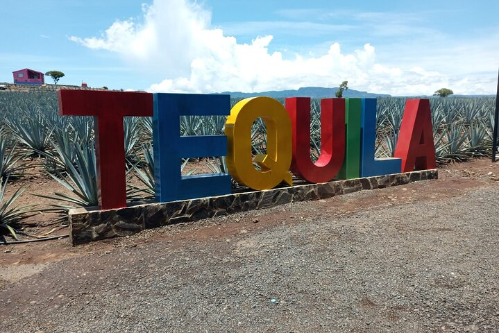 Private Tequila Tour in Guadalajara - Photo 1 of 25