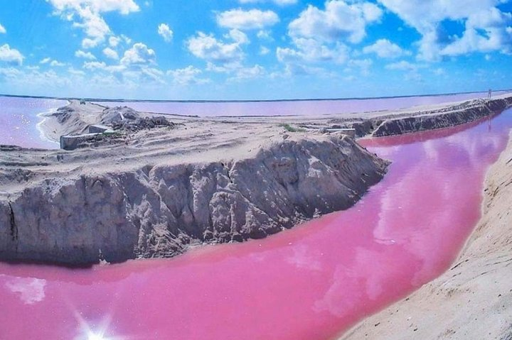 Private Tour: Ek Balam, Pink Flamingos Sanctuary and Tequila Tasting Factory - Photo 1 of 4