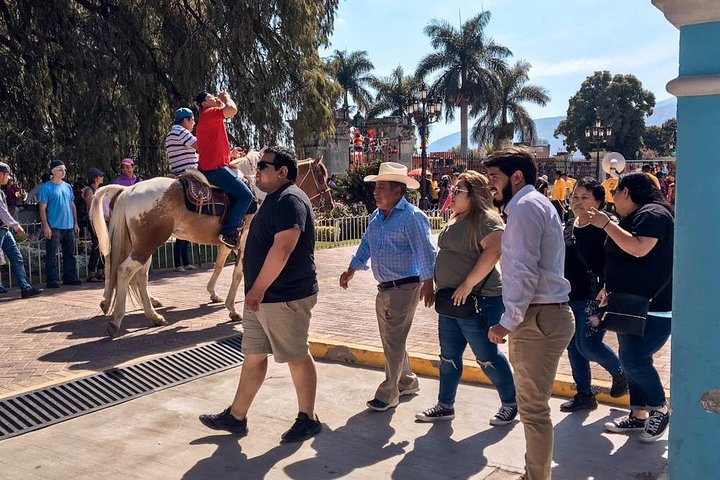 Santa Maria del Tule