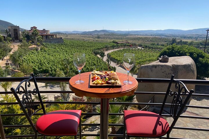 Private Tour in Guadalupe Valley, Vine Yards & Wine Route ENS MX - Photo 1 of 19