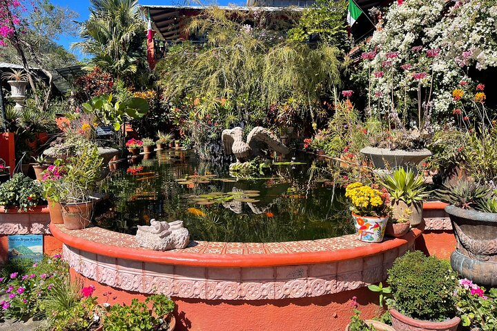 Private Tour to El Jardin Botanico, El Tuito and El Eden - Photo 1 of 11