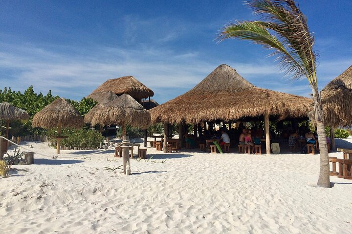 Private Transfer Bacalar-Tulum with optional 2h in Sian Ka'an Biosphere Reserve - Photo 1 of 8