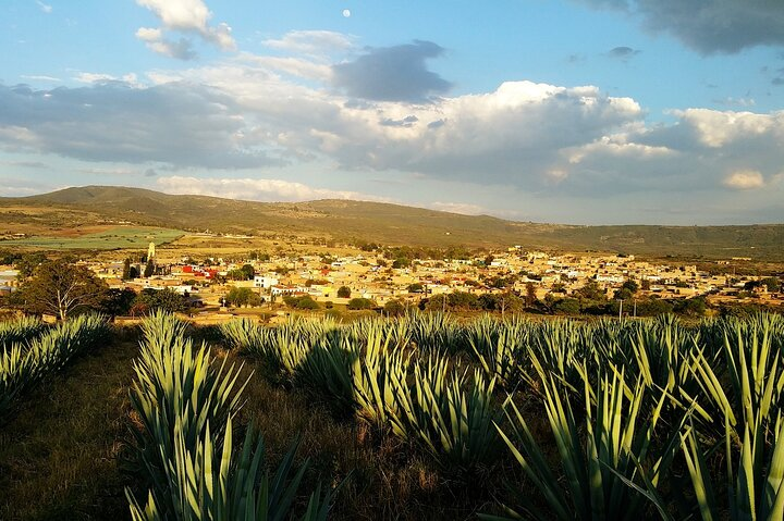 Private transfer San Miguel de Allende to Tequila with 2 hours for sightseeing - Photo 1 of 6