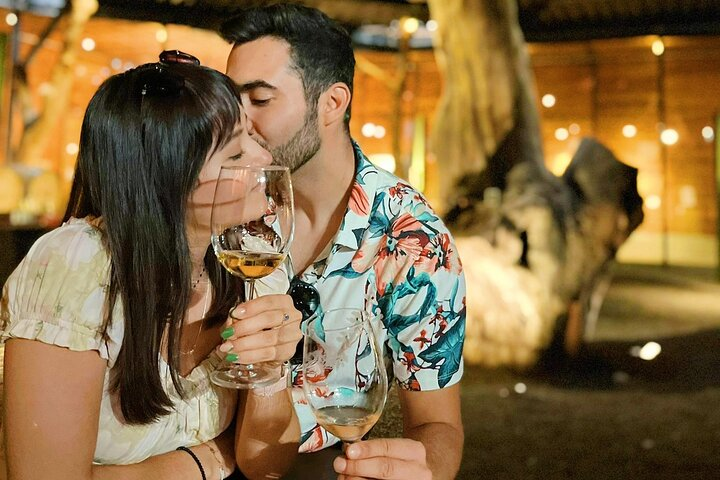 Private Wine Tour at Valle de Guadalupe (A wine tasting included). - Photo 1 of 10