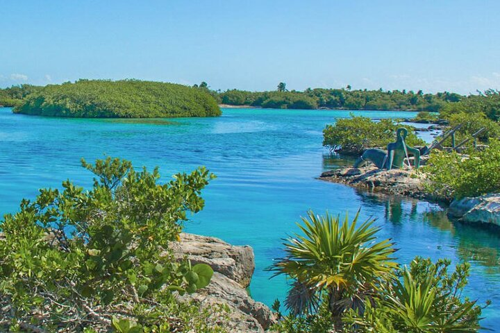 Private Yal-ku and Akumal Experience - Photo 1 of 8