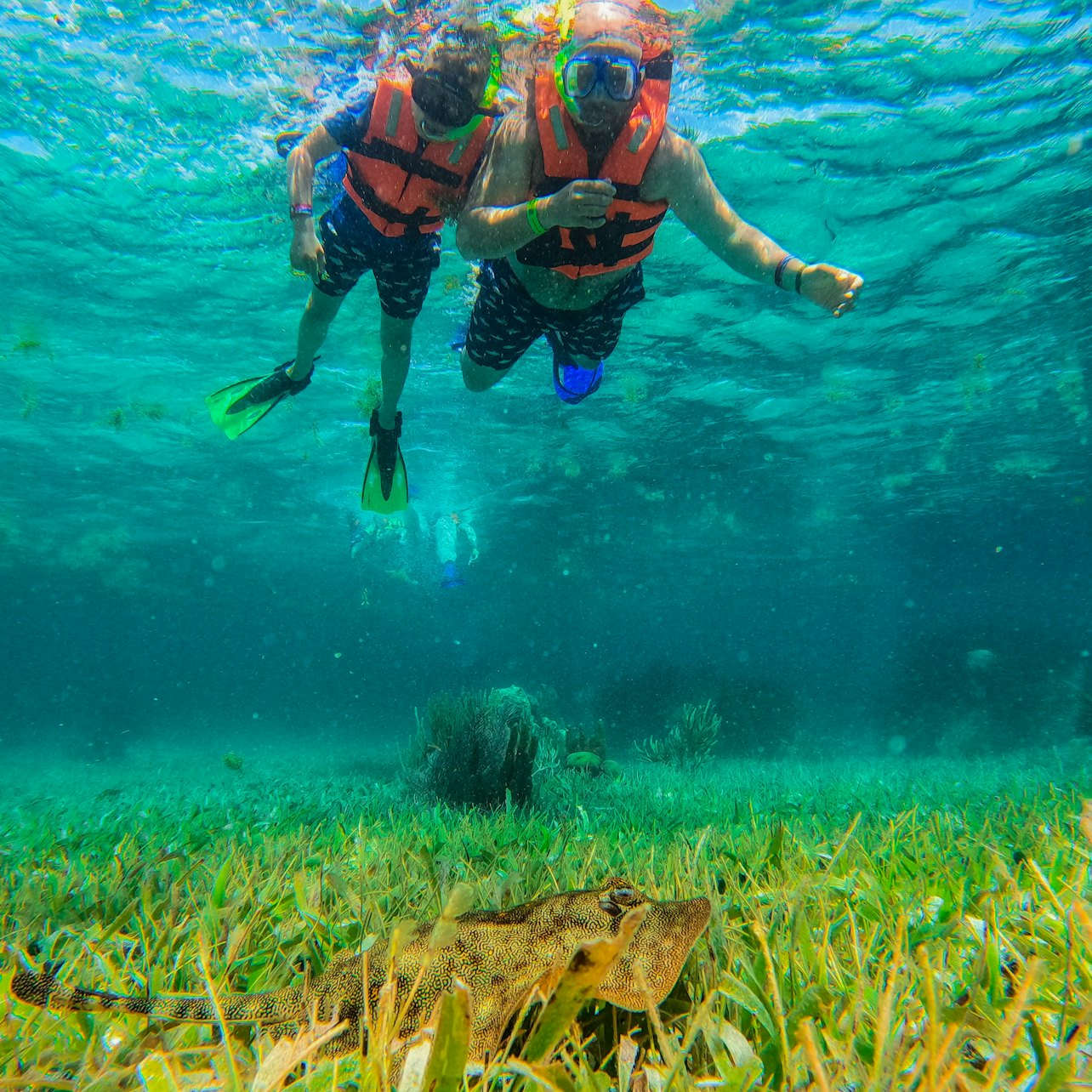 Puerto Morelos Reef: Snorkeling Adventure with Beachside Lunch - Photo 1 of 10