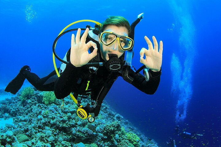 Puerto Morelos Scuba Diving - Only Certificate Divers - Photo 1 of 18