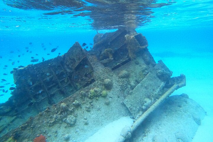  Reef and Sunken Ship Snorkeling Experience in Cancun - Photo 1 of 11