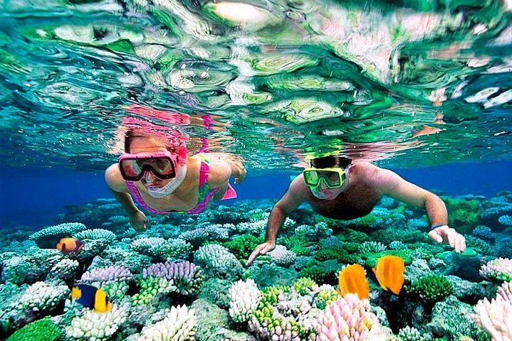 Riviera Maya Snorkeling Tour