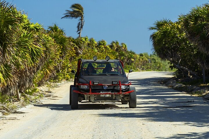 Route of Adventure: Punta Sur Park and Clear Boat Cozumel - Photo 1 of 13
