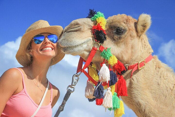 Camel Kiss