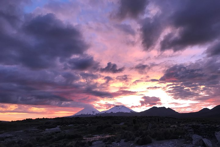 Sajama 2-Day Private Tour Service with English Speaking Guide - Photo 1 of 10